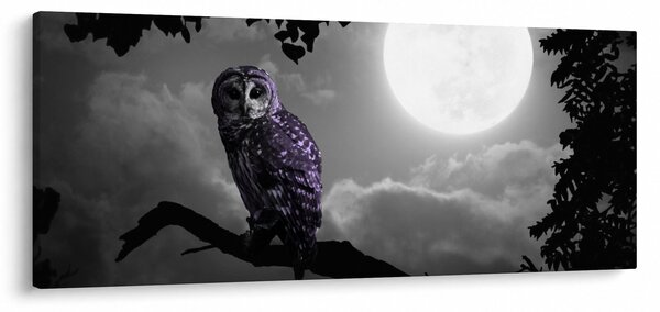 Slika - Noćna sova, ljubičasta sova (120x50 cm)