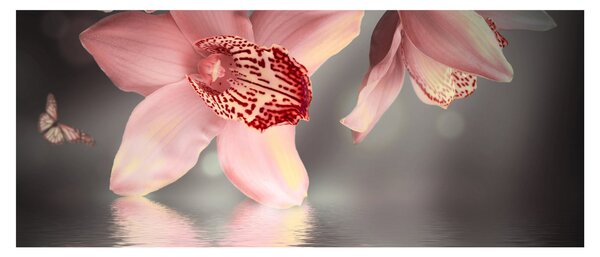 Slika - Cvijeće i leptir (120x50 cm)