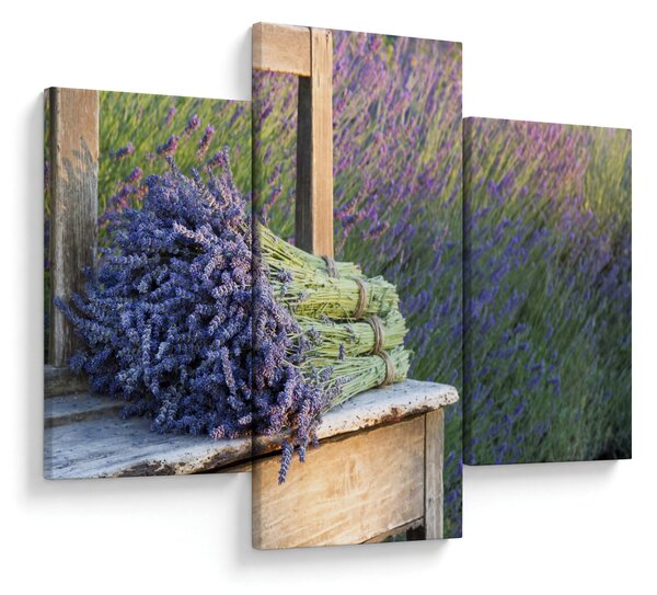 Slika - Grozdovi lavande (90x60 cm)