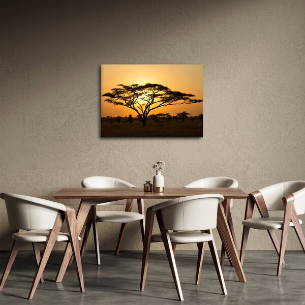 Slika - afrička savana (70x50 cm)