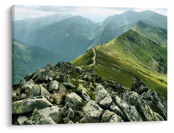 Slika - Planinski krajolik (70x50 cm)