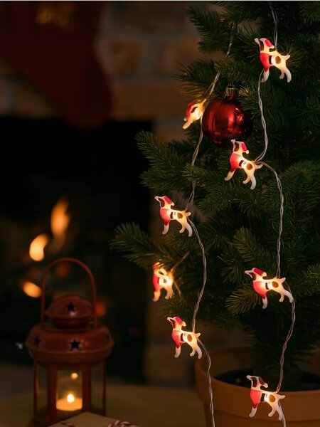 Sinsay - LED lampice | FAVI.hr