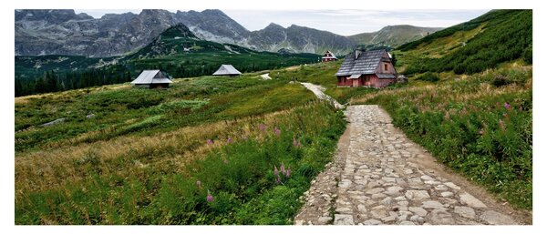 Slika - Planinski krajolik s kućama (120x50 cm)