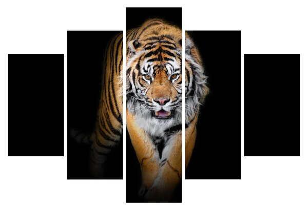 Slika - Tigar (150x105 cm)