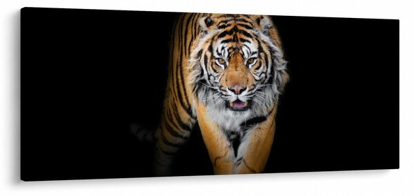 Slika - Tigar (120x50 cm)