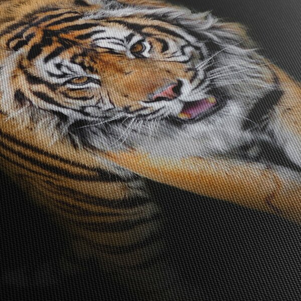 Slika - Tigar (120x50 cm)
