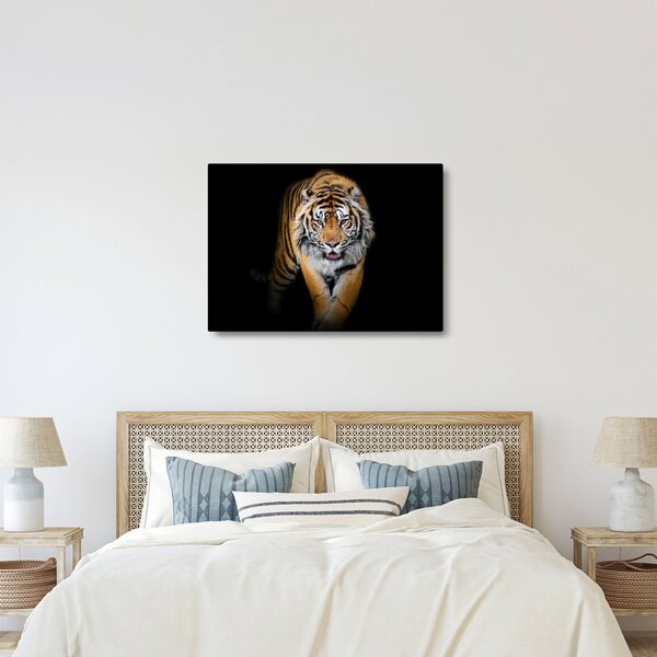 Slika - Tigar (70x50 cm)