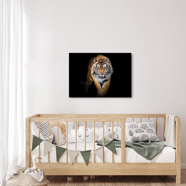 Slika - Tigar (70x50 cm)