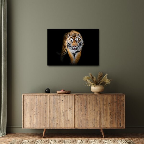 Slika - Tigar (70x50 cm)