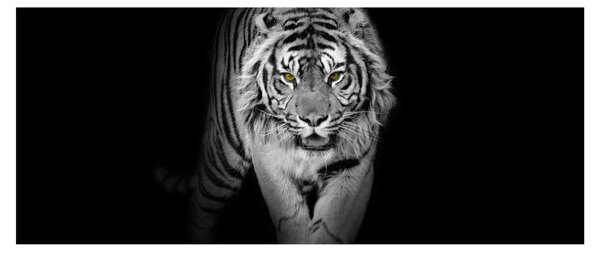 Slika - Tigar sa žutim očima (120x50 cm)