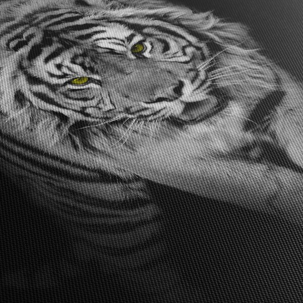 Slika - Tigar sa žutim očima (120x50 cm)