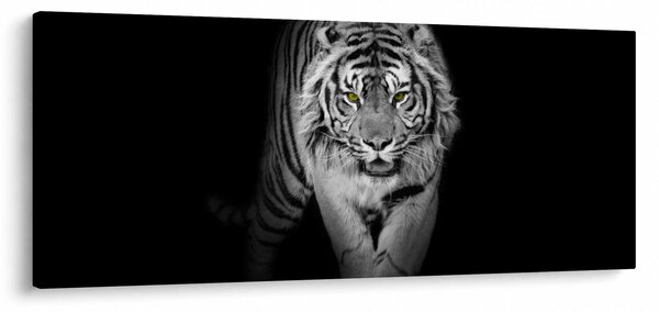 Slika - Tigar sa žutim očima (120x50 cm)