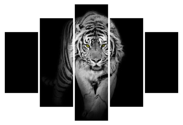 Slika - Tigar sa žutim očima (150x105 cm)