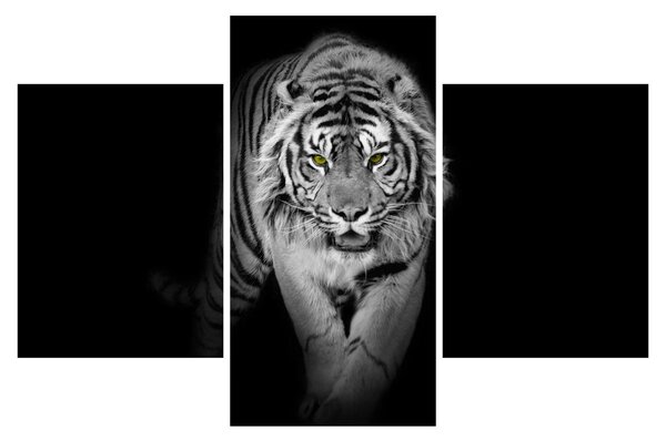Slika - Tigar sa žutim očima (90x60 cm)