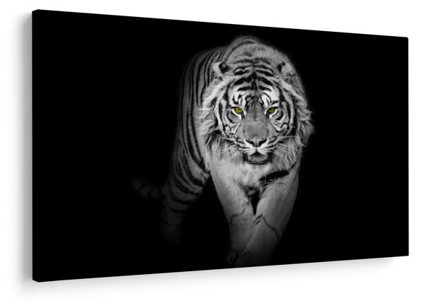 Slika - Tigar sa žutim očima (90x60 cm)