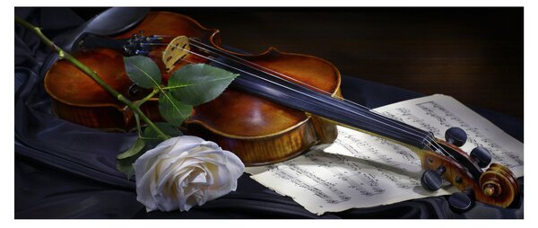 Slika - Ruže i violina (120x50 cm)