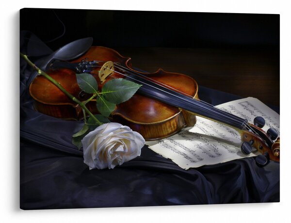 Slika - Ruže i violina (70x50 cm)