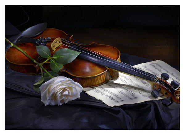 Slika - Ruže i violina (70x50 cm)