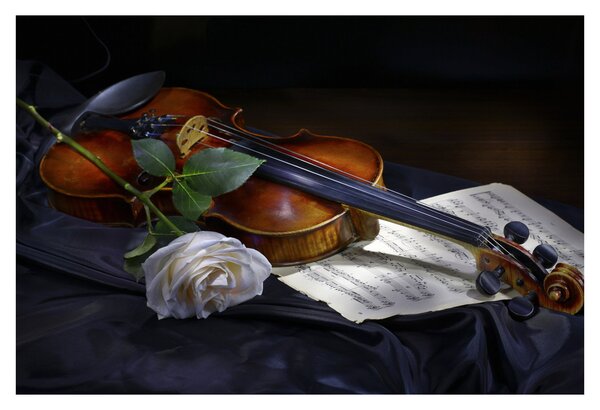 Slika - Ruže i violina (90x60 cm)