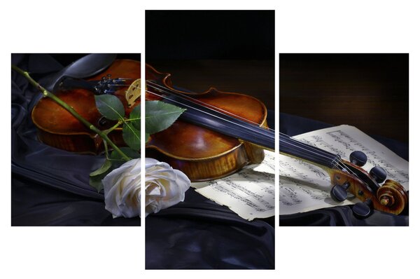 Slika - Ruže i violina (90x60 cm)