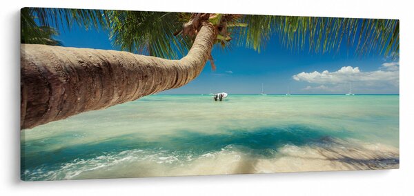 Slika - Čisto more s palmom (120x50 cm)