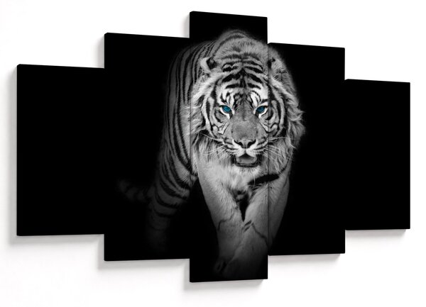 Slika - Tigar s plavim očima (150x105 cm)