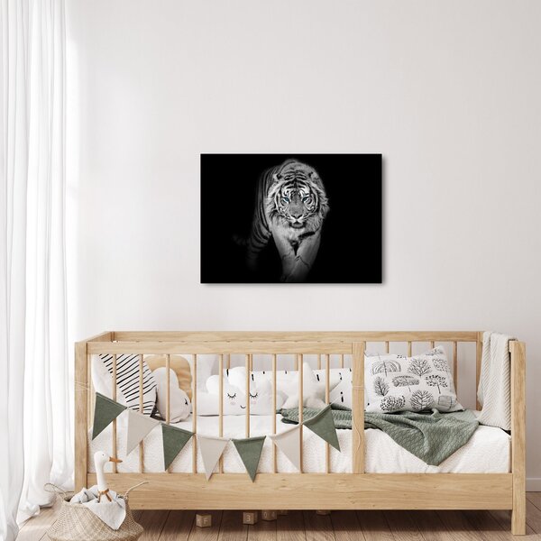 Slika - Tigar s plavim očima (70x50 cm)