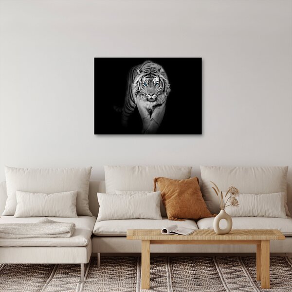 Slika - Tigar s plavim očima (70x50 cm)