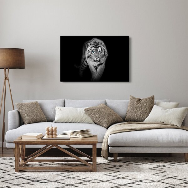 Slika - Tigar s plavim očima (90x60 cm)