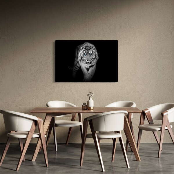 Slika - Tigar s plavim očima (90x60 cm)
