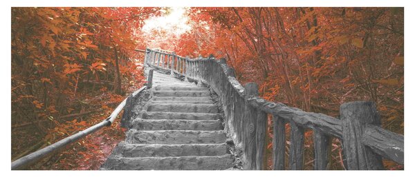 Slika - Stepenice u prirodi, narančaste (120x50 cm)