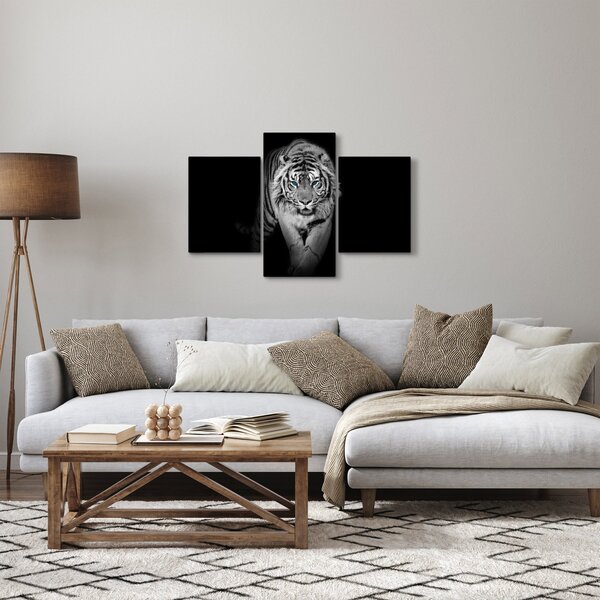 Slika - Tigar s plavim očima (90x60 cm)