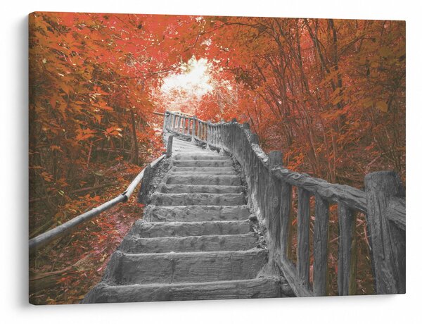 Slika - Stepenice u prirodi, narančaste (70x50 cm)