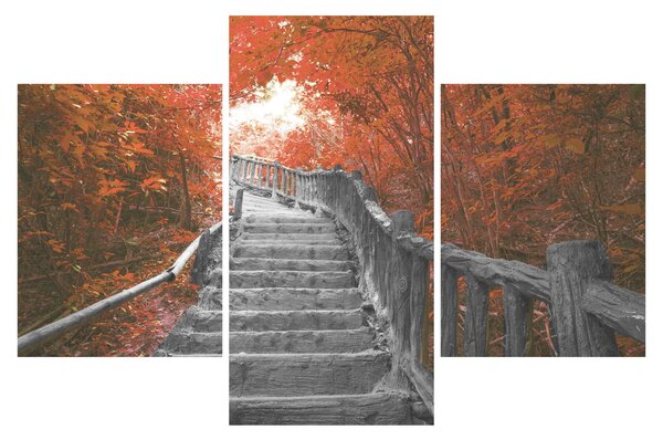 Slika - Stepenice u prirodi, narančaste (90x60 cm)
