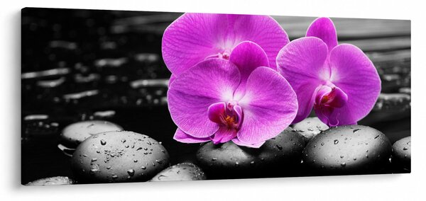 Slika - Ljubičaste orhideje (120x50 cm)