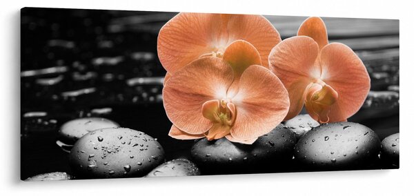 Slika - Narančaste orhideje (120x50 cm)