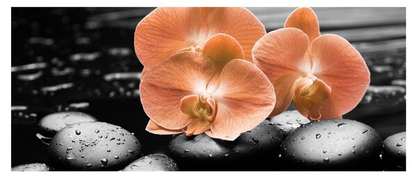 Slika - Narančaste orhideje (120x50 cm)