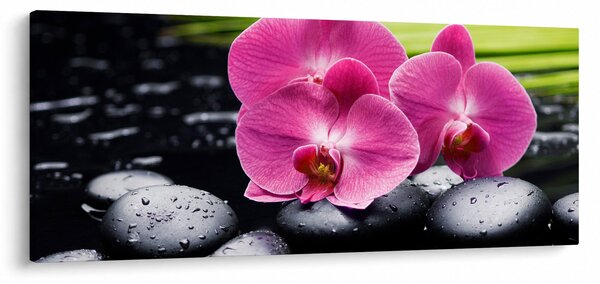 Slika - Ružičaste orhideje s palminim lišćem (120x50 cm)