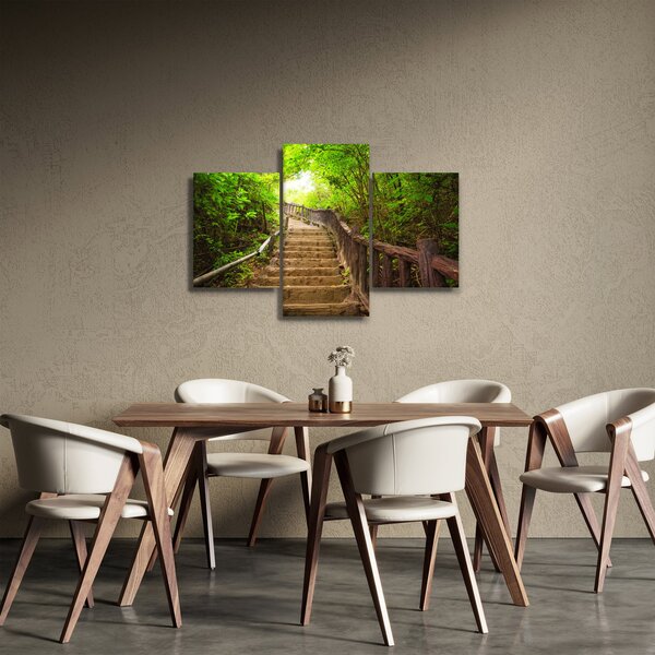 Slika - Stepenice u prirodi (90x60 cm)