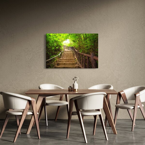 Slika - Stepenice u prirodi (90x60 cm)