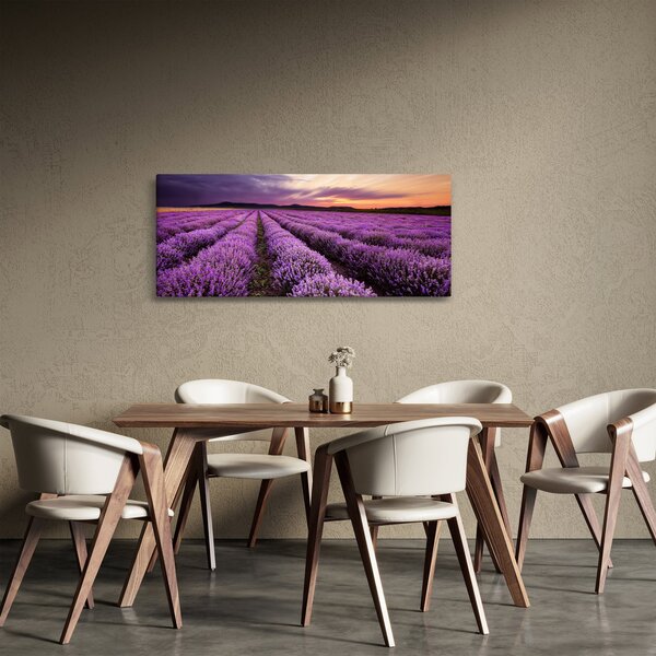 Slika - Polje lavande na zalasku sunca (120x50 cm)