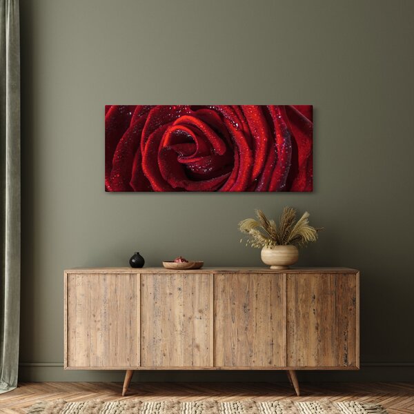 Slika - Crvena ruža s kapljicama rose (120x50 cm)
