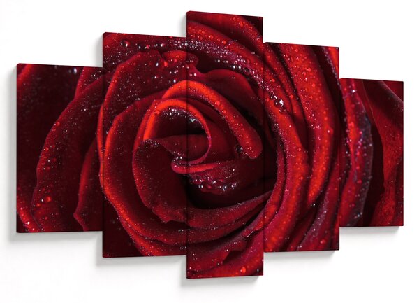 Slika - Crvena ruža s kapljicama rose (150x105 cm)