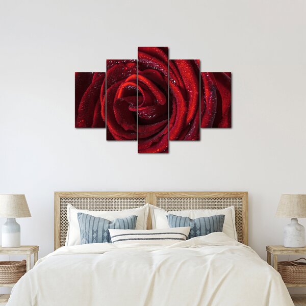 Slika - Crvena ruža s kapljicama rose (150x105 cm)
