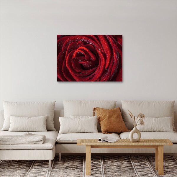Slika - Crvena ruža s kapljicama rose (70x50 cm)