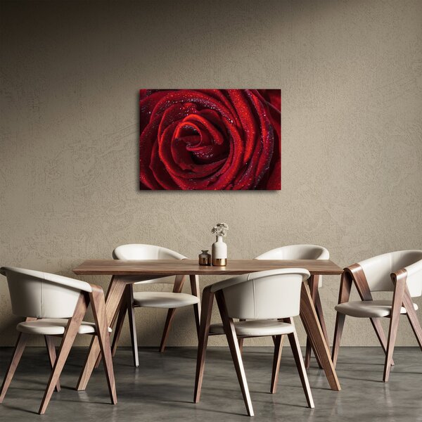 Slika - Crvena ruža s kapljicama rose (70x50 cm)