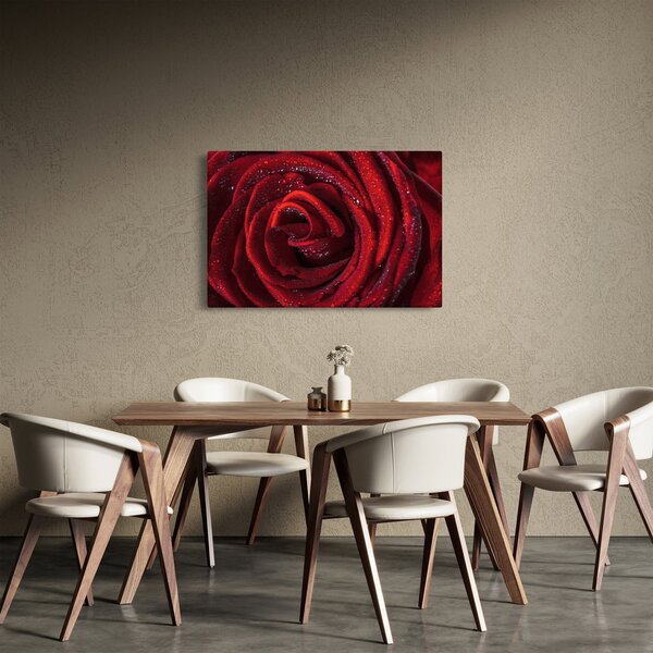Slika - Crvena ruža s kapljicama rose (90x60 cm)