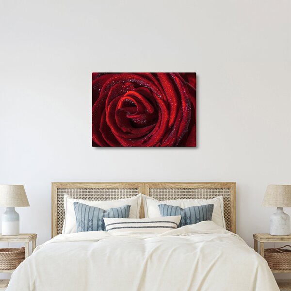 Slika - Crvena ruža s kapljicama rose (70x50 cm)