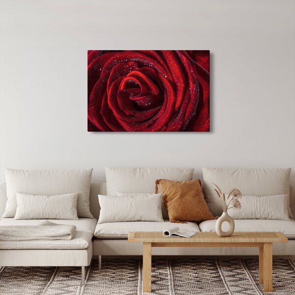 Slika - Crvena ruža s kapljicama rose (90x60 cm)