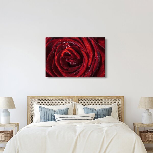 Slika - Crvena ruža s kapljicama rose (90x60 cm)